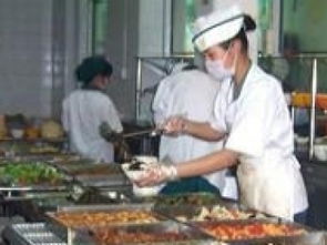 攜手金飯碗，共贏新“食”代 廣州團膳配送與食堂承包服務(wù)的品質(zhì)之選
